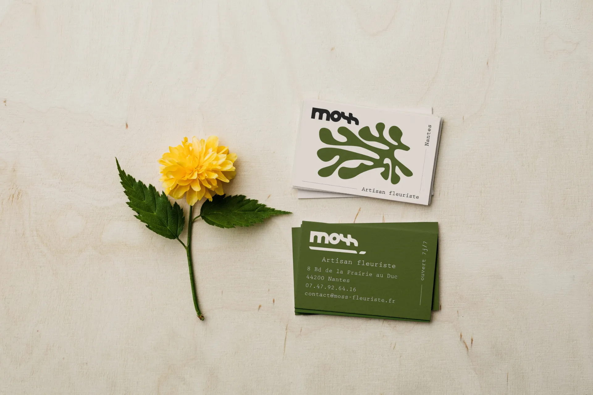 Moss — Cartes de visite